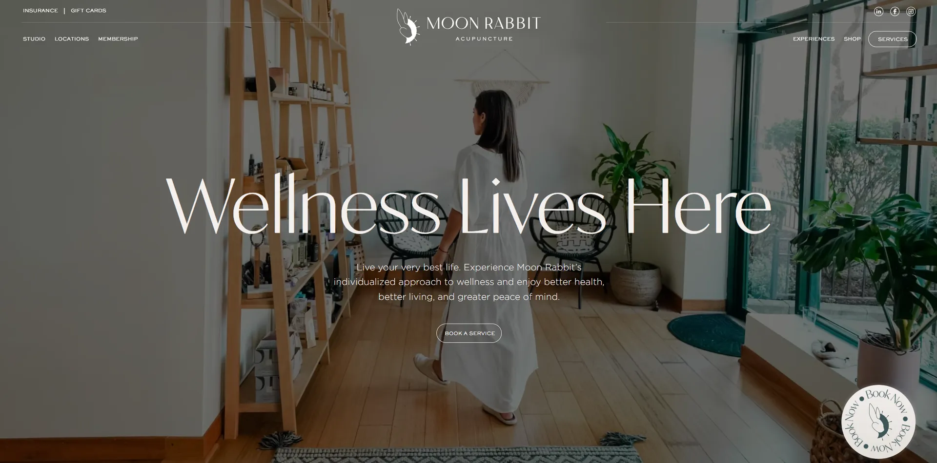 Moon Rabbit Acupuncture Website Screenshot