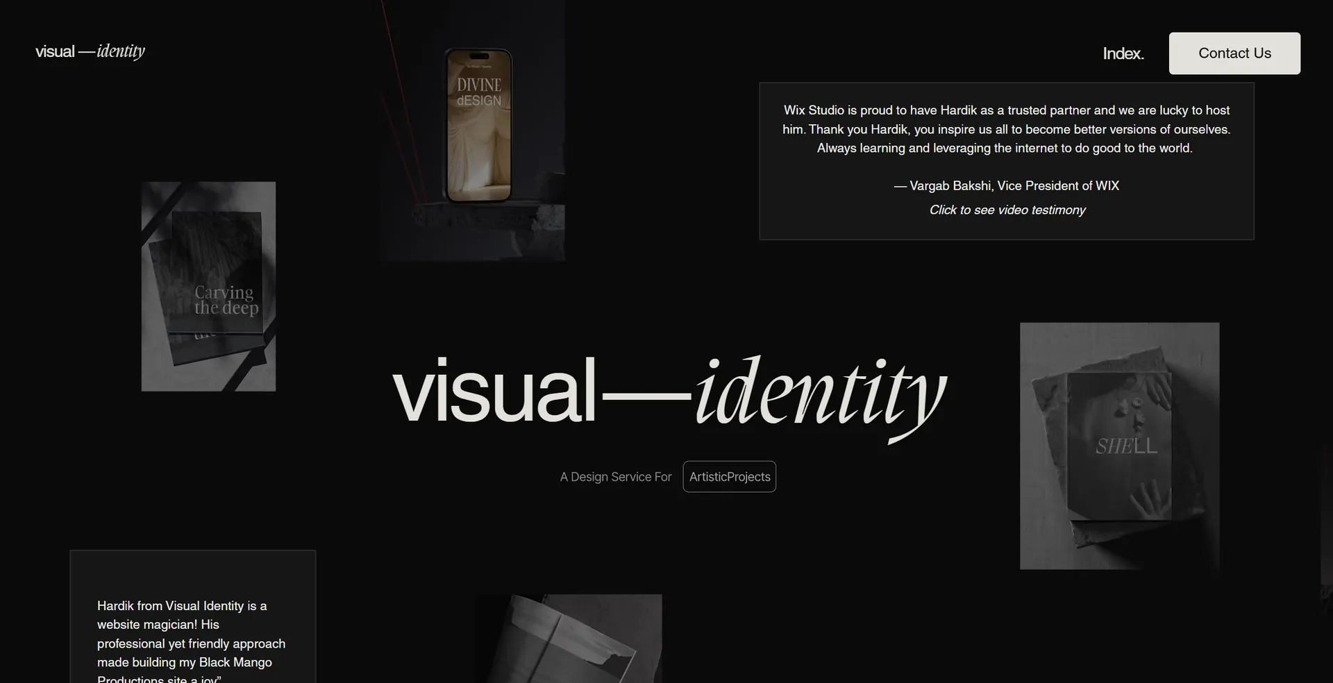 Visual Identity Co. Screenshot